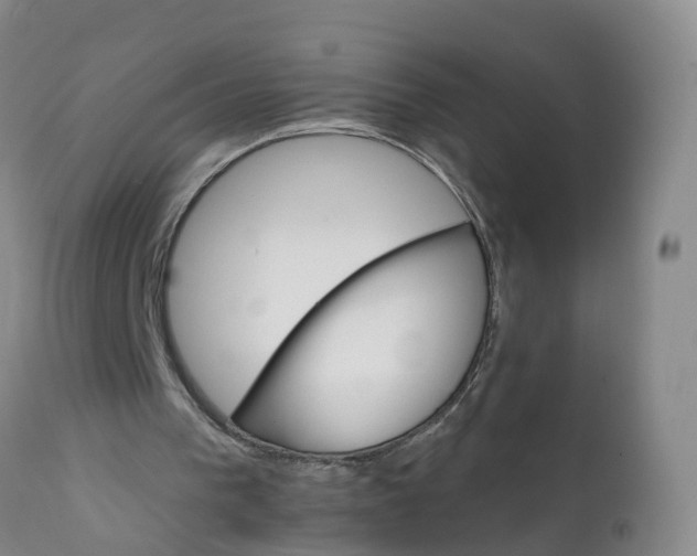 X0000111800193200908131444