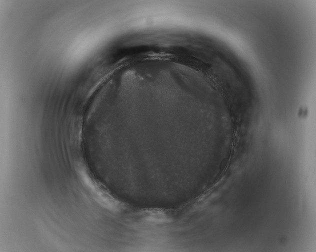 X0000111800194200908131444