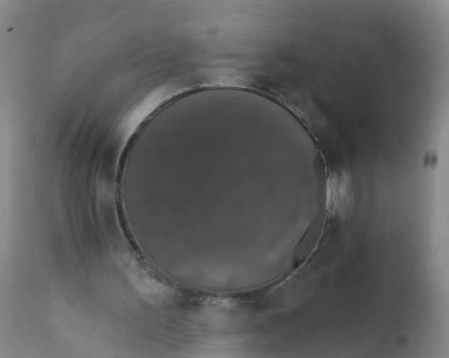 X0000111800195200908131444
