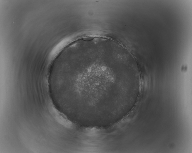 X0000111800197200908131444
