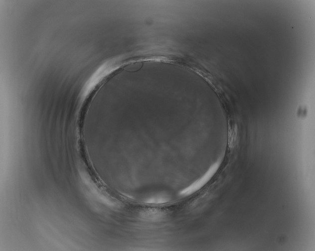 X0000111800198200908131444