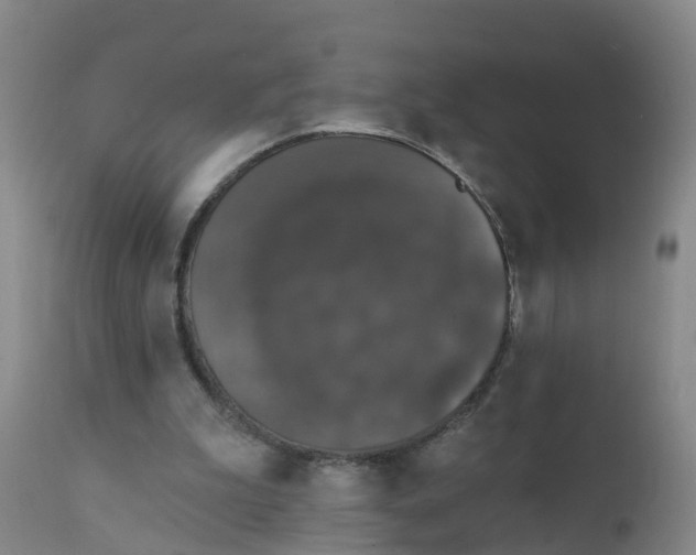 X0000111800199200908131444