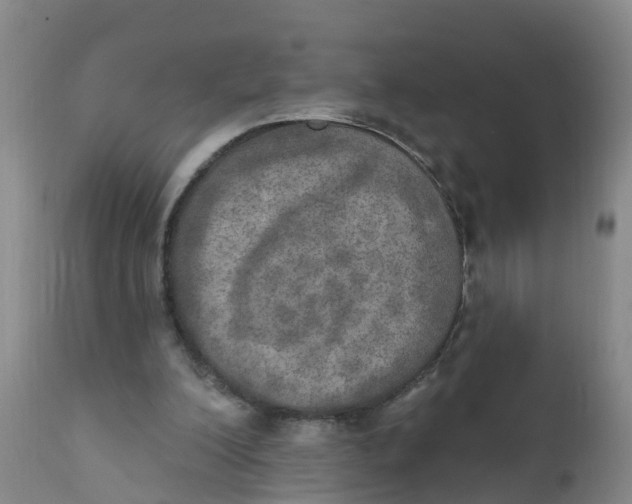 X0000111800200200908131444