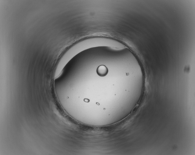 X0000111800201200908131444
