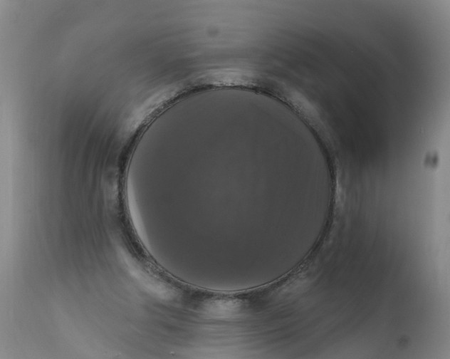 X0000111800202200908131444