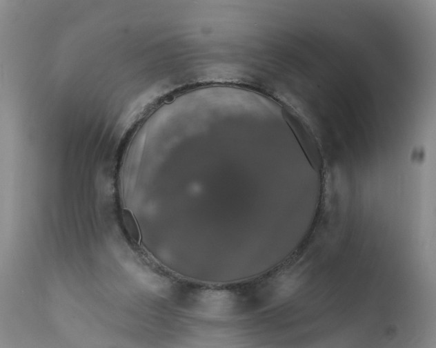 X0000111800203200908131444