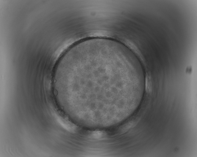 X0000111800204200908131444