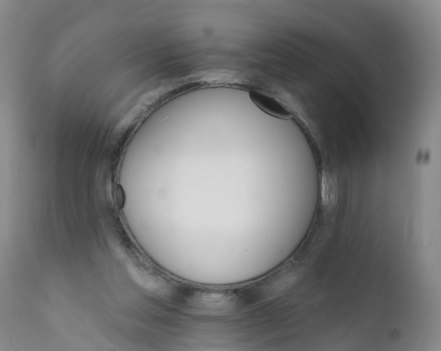 X0000111800205200908131444