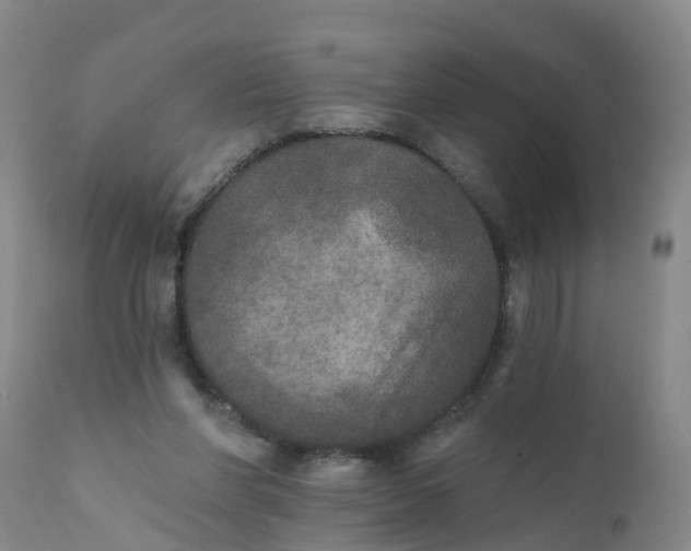 X0000111800206200908131444