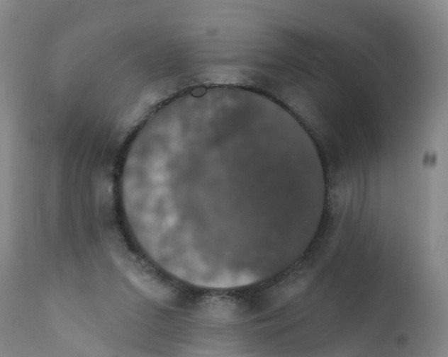 X0000111800207200908131444