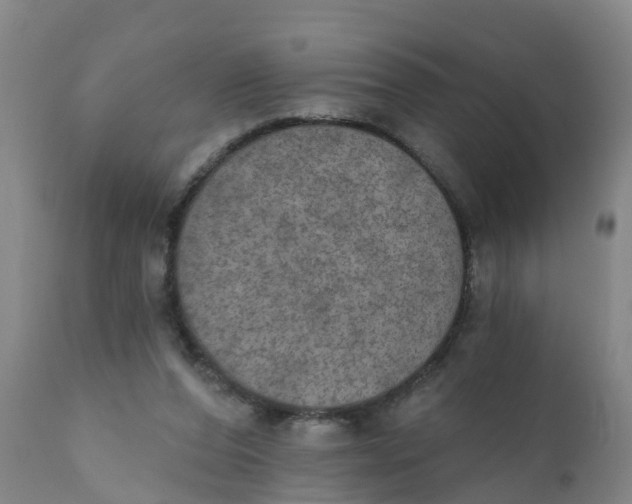 X0000111800208200908131444