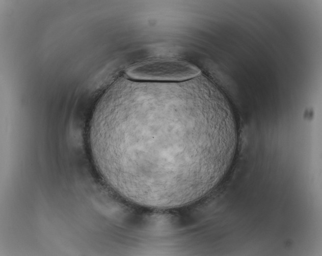 X0000111800209200908131444