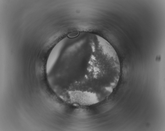 X0000111800211200908131444
