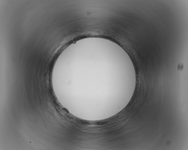 X0000111800212200908131444