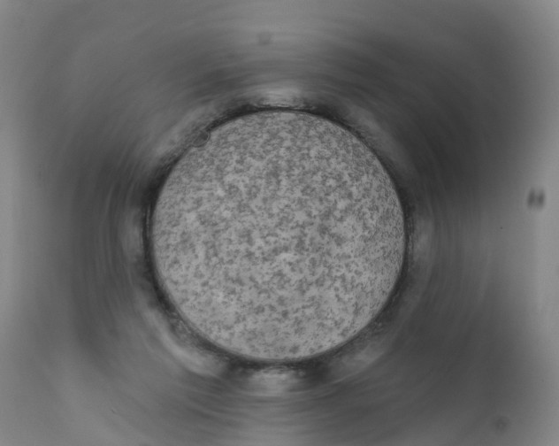 X0000111800213200908131444