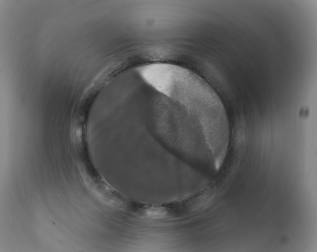 X0000111800214200908131444