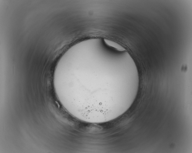 X0000111800215200908131444