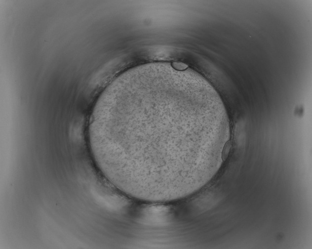 X0000111800217200908131443