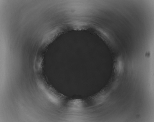 X0000111800219200908131443