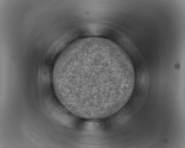 X0000111800220200908131443