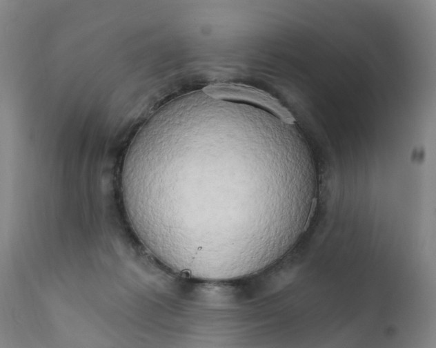 X0000111800221200908131443