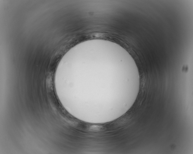 X0000111800222200908131443
