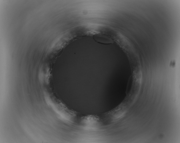 X0000111800223200908131443