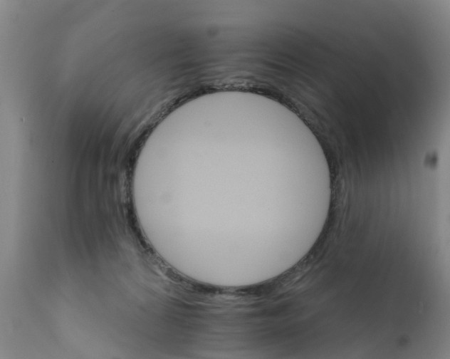 X0000111800224200908131443