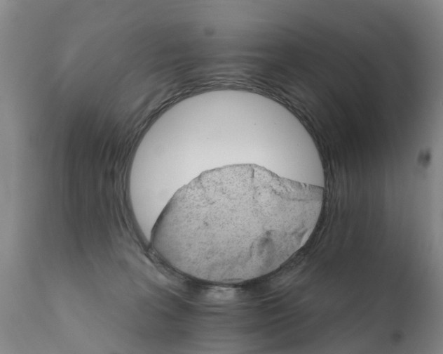 X0000111800227200908131443