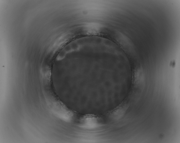 X0000111800228200908131443
