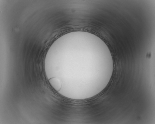 X0000111800229200908131443