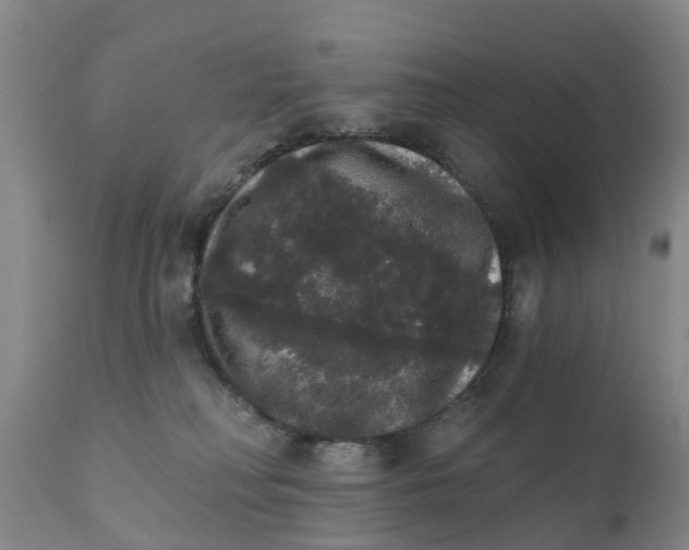 X0000111800230200908131443