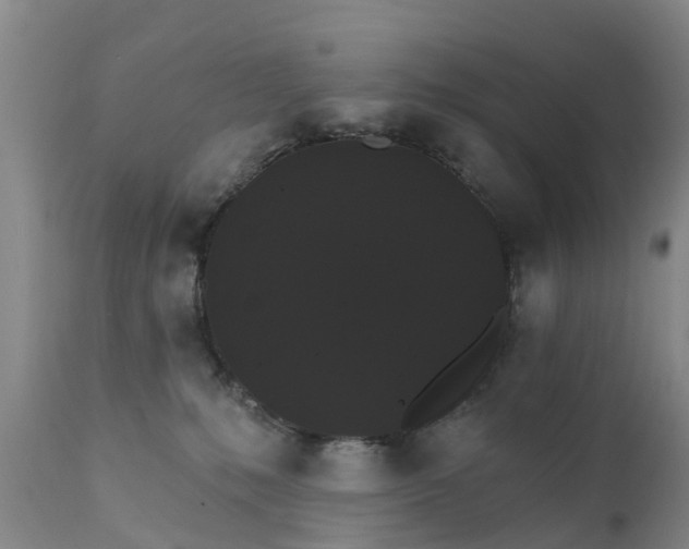 X0000111800231200908131443