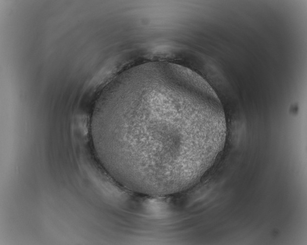X0000111800232200908131443