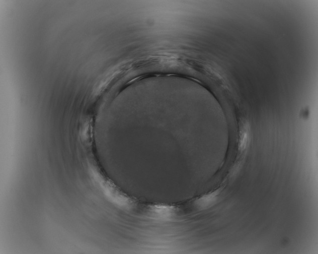X0000111800233200908131443