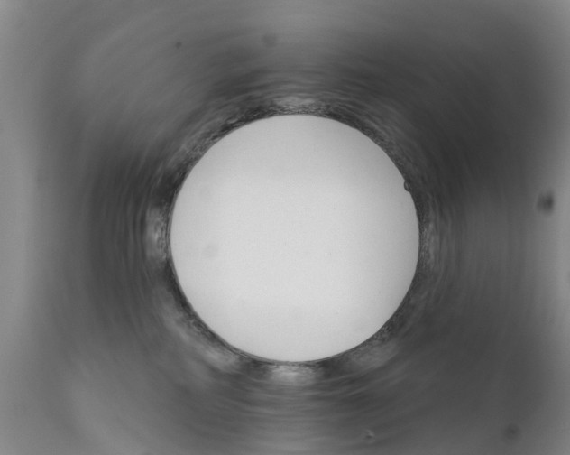 X0000111800234200908131443