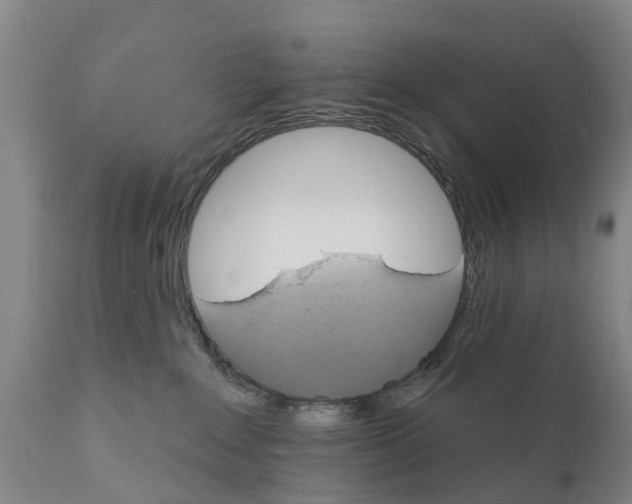 X0000111800235200908131443