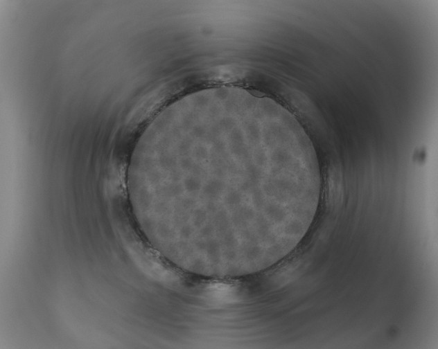 X0000111800236200908131443