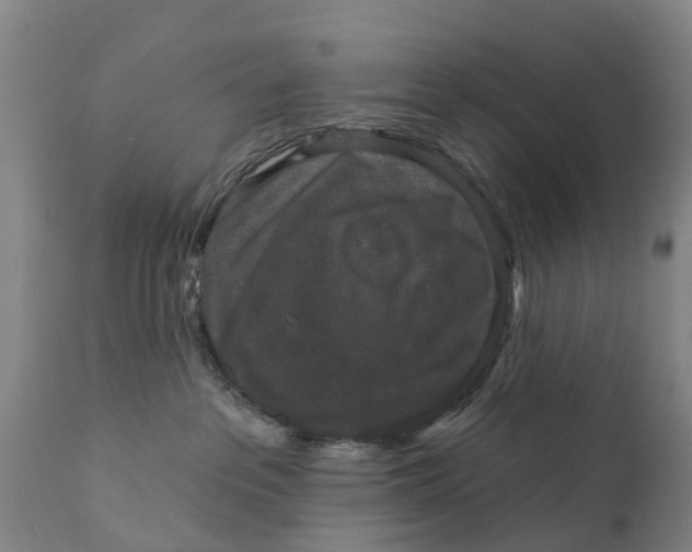 X0000111800237200908131443