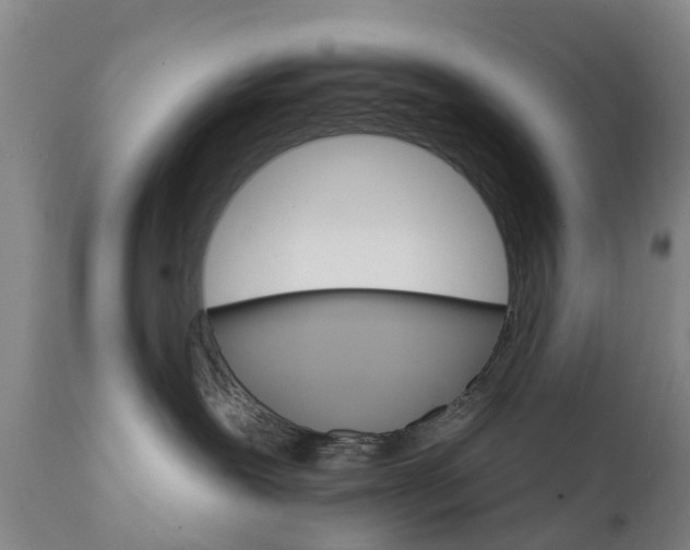 X0000111800239200908131443