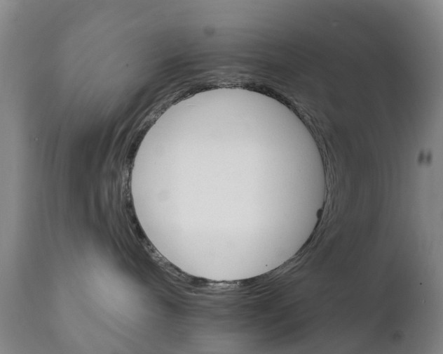 X0000111800240200908131443