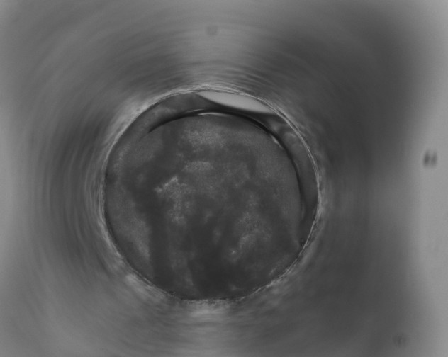 X0000111800241200908131442