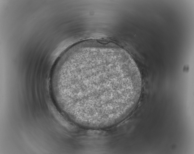 X0000111800242200908131442