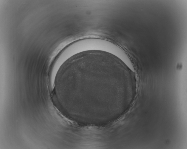 X0000111800244200908131442