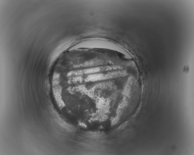 X0000111800245200908131442