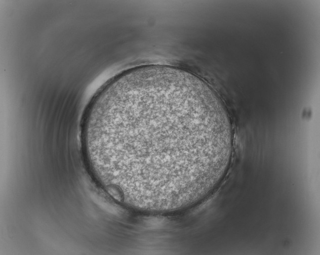 X0000111800246200908131443