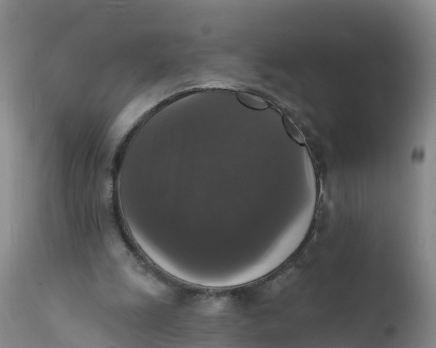 X0000111800247200908131443