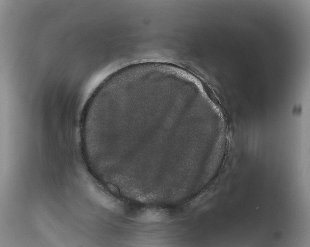 X0000111800248200908131443