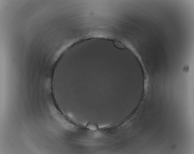 X0000111800249200908131443