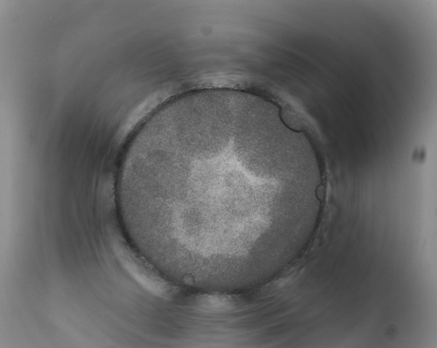 X0000111800250200908131443